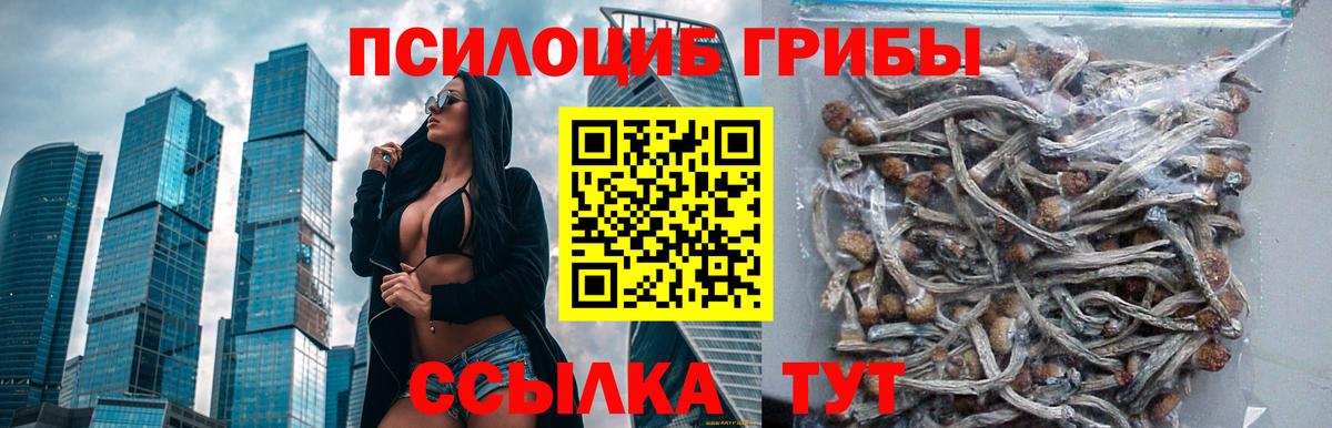 Псилоцибиновые грибы GOLDEN TEACHER  Псилоцибиновые грибы мицелий  Вход с VPN  Выборг 