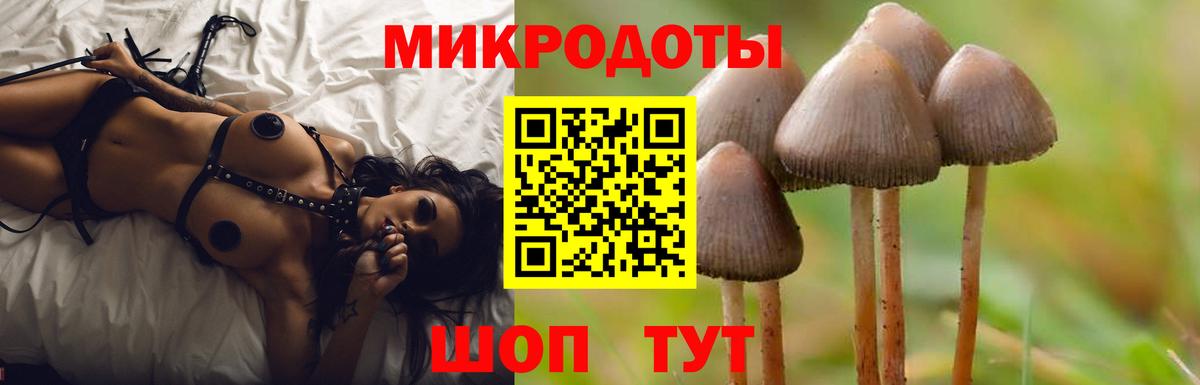Галлюциногенные грибы Psilocybine cubensis Выборг